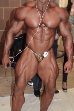 MUSCLEINGEAR