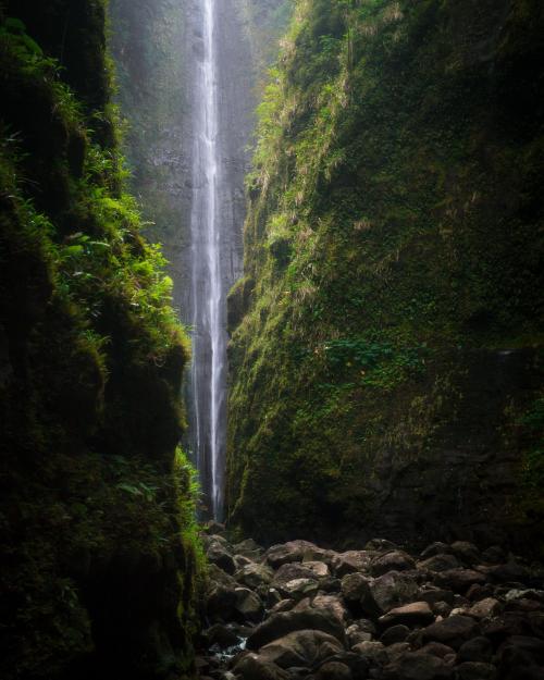 amazinglybeautifulphotography:  Hidden Waterfall Canyon in Hawaii