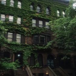 bluepueblo:  Ivy, New York City photo via katerina 