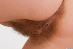 hairypussypics.tumblr.com/post/41678767018/