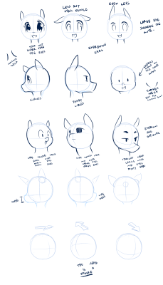 Head Tutorial.