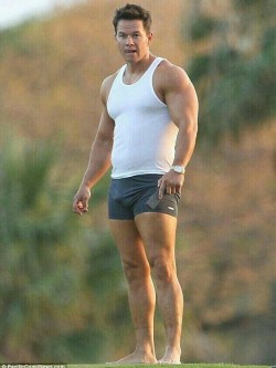 hotmenofhollywood:   Sexy DILF Mark Wahlberg shows what he is