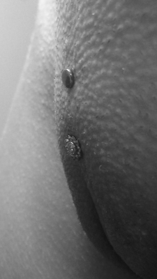 richardeffinivey:  A fresh pubic mound surface piercing (for
