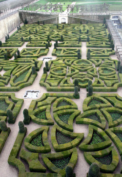 allthingseurope:  Château de Villandry Gardens, France (by Richard