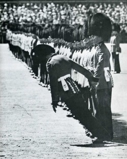 A bearskinned guardsman bites the dust, demonstrating that even