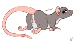 Quick doodle of a rat. I created her to cheer myself up after