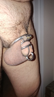 keyholderanna:  imcagedbywife: I got a new ring for my PA which