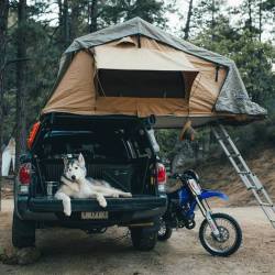 theadventurouslife4us:#camping , The perfect camping set up |