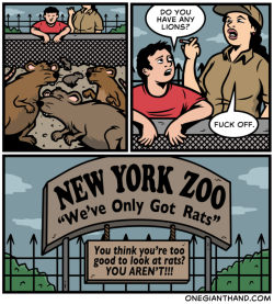 onegianthand:New York Zoo