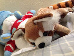 My plushies are keeping me company in my bed today. Got a really