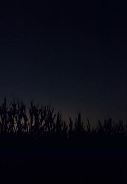 nevver:Through Darkness to Light, Jeanine Michna-Bales