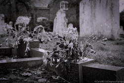 sixdegreesframed:  Mother … All Saints Church Cemetery, Moulton,