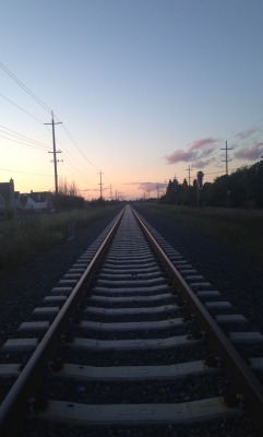 hiimcutelol:  The tracks to my hopes and dreams..