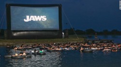vivahatept1:  revelation19:  The best possible way to watch Jaws.