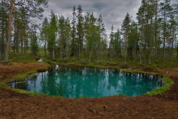 90377:  Grodkällan, artesian cold spring in Arvidsjaur by Mad