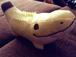 daddy-s-and-little-kitty:  Daddy got me a Croconana! It’s half