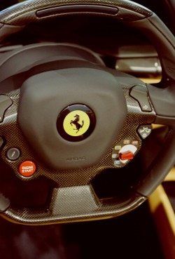 photographyofdavidhanjani:  Rarri. Photo By David Hanjani 