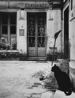  Janine Niépce Le Chat de la Concierge, Paris, 1957. 