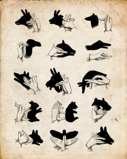 fer1972:  Shadow Puppets by missquitecontrary    