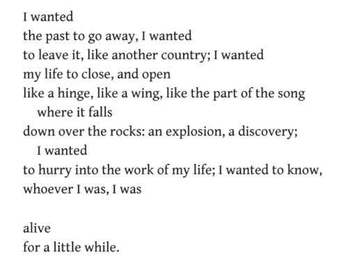 weltenwellen:Mary Oliver, from “Dogfish”, Dream Work