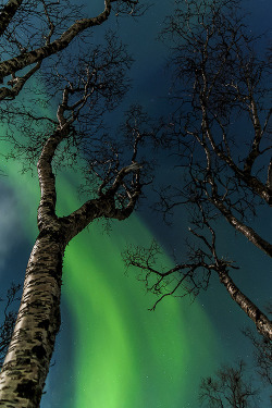 etherealvistas:  Artic fire (Norway) by Manuel Subirats | Website