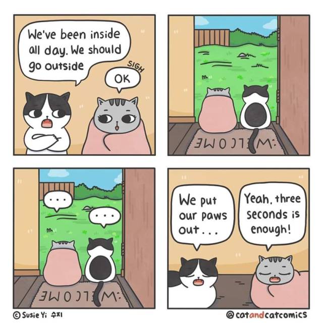 Today’s plan. 