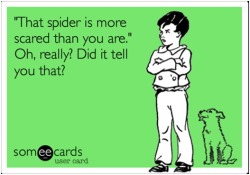 So, you speak arachnid now?