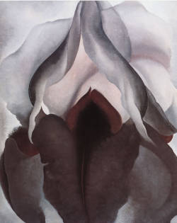 art2202:  Georgia O’Keeffe, Black Iris III, 1926. Oil on canvas,