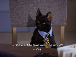 miss-vanilla:  The best of Salem Saberhagen from “Sabrina the