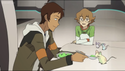 pidgioh:Okay but Lance is just feeding Alluraâ€™s mice so casually and happilyÂ like itâ€™s second nature to him, and it probably is knowing that he has such a big family back home on Earth. He probably took care and fed his little siblings like this