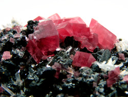 fuckyeahmineralogy:  (via Rhodochrosite Gallery) Rhodochrosite
