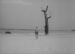 hirxeth:  Ivan’s Childhood (1962) dir. Andrei Tarkovsky
