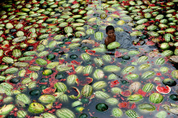 A child gathers watermelons in Dhaka, Bangladesh on May 27,