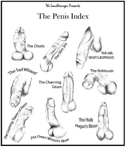 deejpluto:  Penis Index. Which dick is yours?