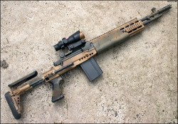 weaponslover:  Desert MK14 EBR Mod-0 