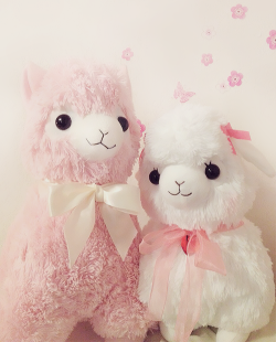 mochichou:  single dad alpaca otou-san and his new daughter uwub