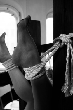 softkinkysweetdominant:  