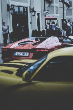 captvinvanity:   Red and Yellow | Photographer | CV