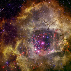 just–space:  The Rosette Nebula  js