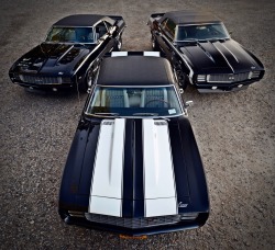 utwo:  1969 Chevrolet Camaros : Z/28, L78 & COPO © Steve