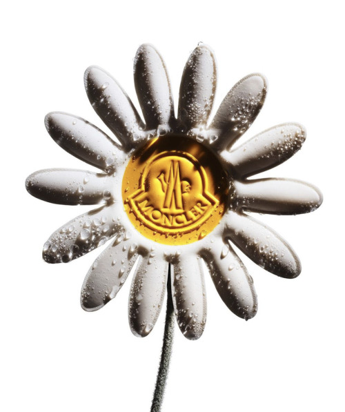 Moncler flower