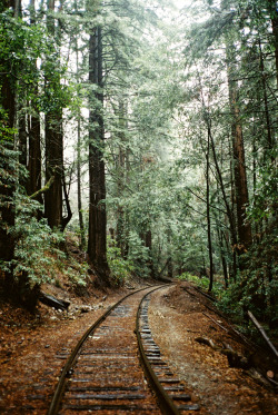 taylormccutchan:  The old tracks just outside of Santa Cruz,