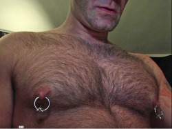 Pierced nipples on a hairy chest  For more gay nippleplay, visit