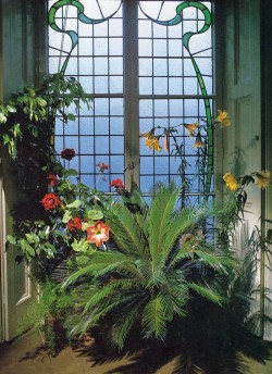 nyctaeus:  Success with House Plants, 1979 Courtesy of Reader’s