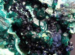 fuckyeahmineralogy:  Shattuckite, Dioptase, Chrysocolla; Tantara