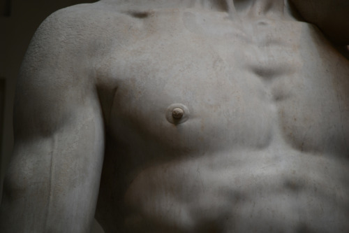 qusarts: Four Meters of Perfection Michelangelo’s David at the School of Belle Arti Museum in Florence, Italy 