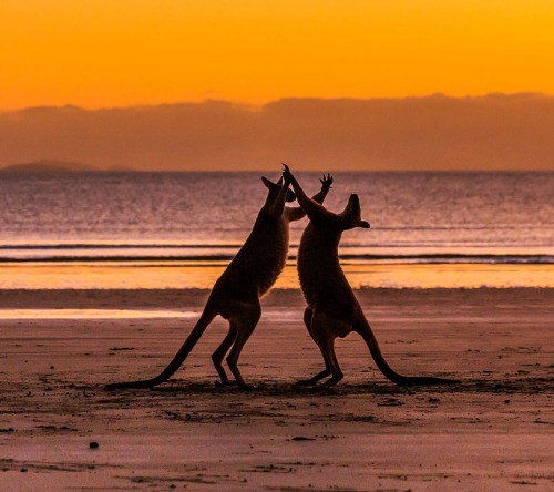 “Shall we dance?”“I’d be delighted!”