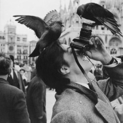 whatweseeeinsta:  #greatshot #classic #whatweseee