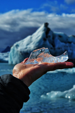 plasmatics-life:  An Iceberg in the Hand | (by Jaye McElroy)