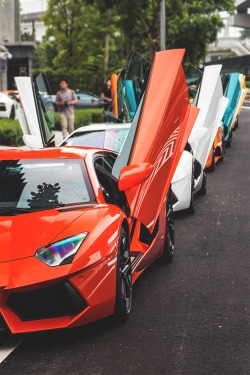 johnny-escobar:  Lamborghini Aventa-doors | JE